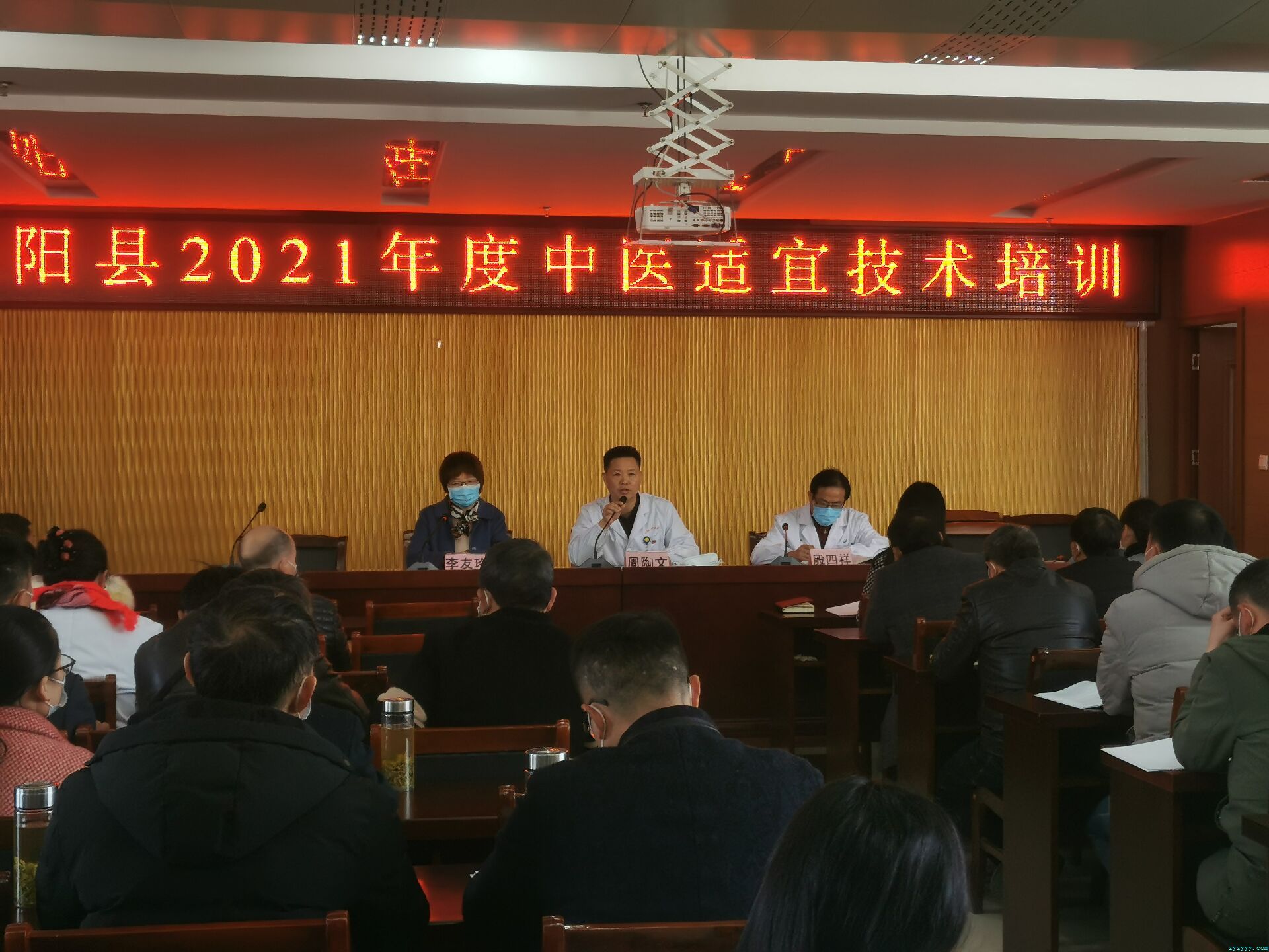 枞阳县中医院举办基层中医药适宜技术培训